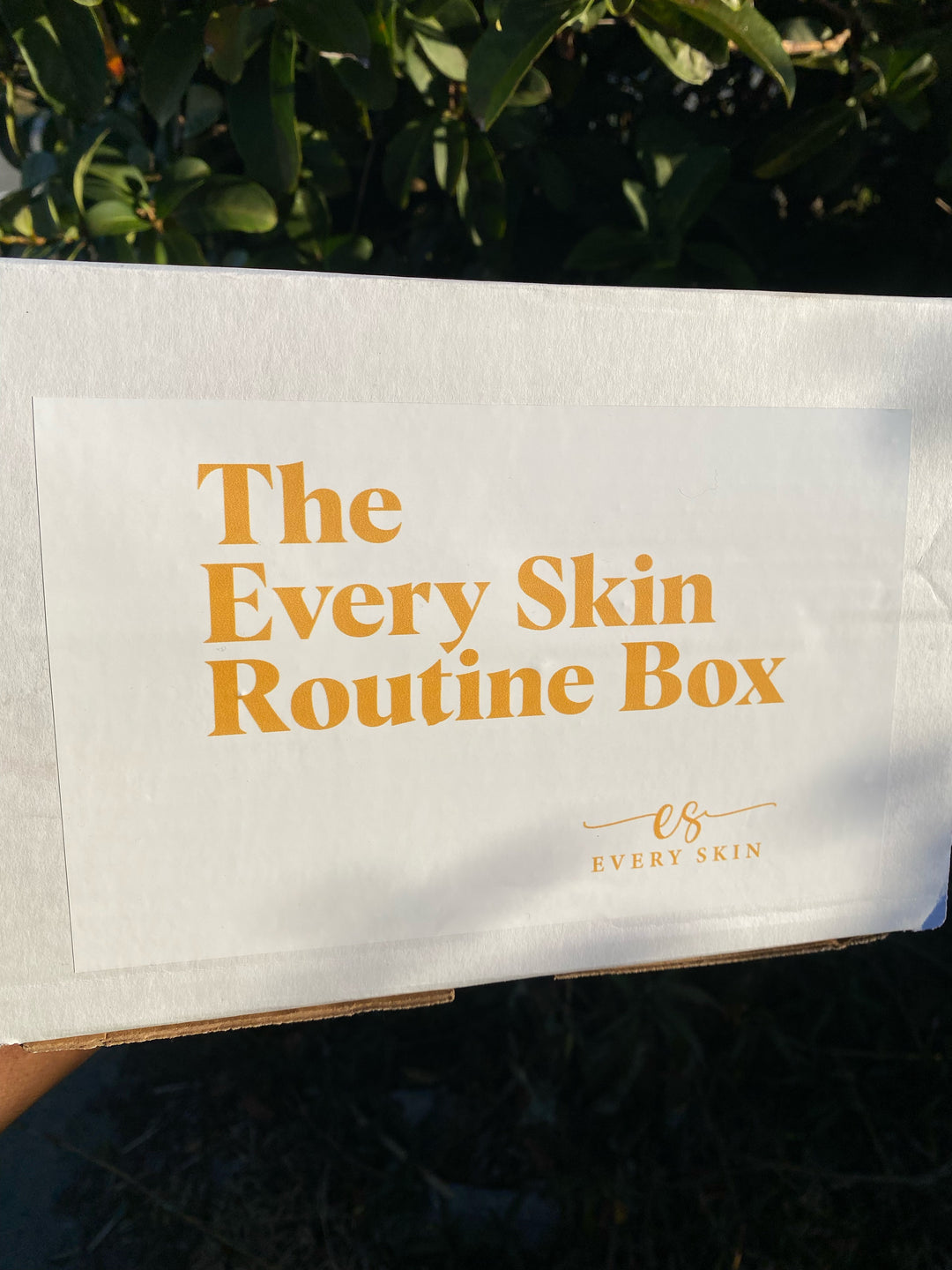 Every Skin Routine Box